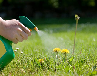 Թունաքիմիկատների ներմուծումն ու շրջանառությունը վերահսկվում է օրենսդրությամբ և ընթացակարգով