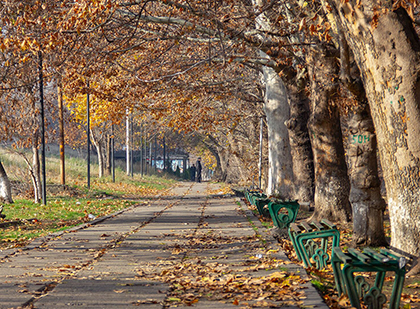 Եղանակը Հայաստանում