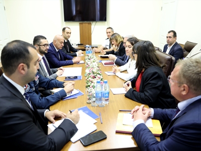 ՆԳ փոխնախարարը Ֆրանսիայի դեսպանատան խորհրդականի հետ քննարկել է ՓԾ–ում կամավորական ներուժի օգտագործման հարցեր