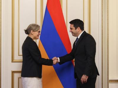 Спикер НС Армении и посол Швеции обсудили проблему удерживаемых в Азербайджане пленных армян