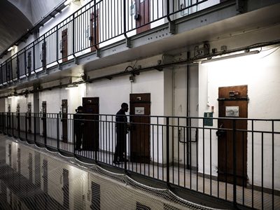 Trump Announces Record Number of Arrests Since Start of Second Term