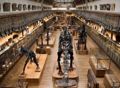 A Chinese woman has been charged in France for stealing six gold nuggets from the Paris Museum of Natural History