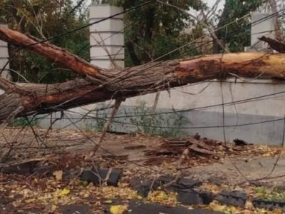 Երևանում քամու հետևանքով գրանցվել է 6 արտակարգ դեպք