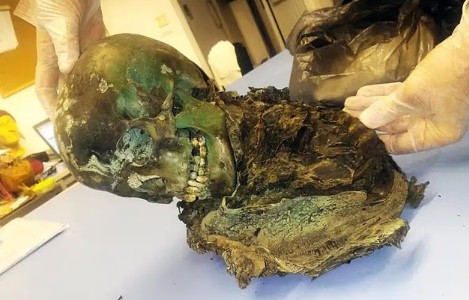 Учёные раскрыли загадку изумрудной мумии