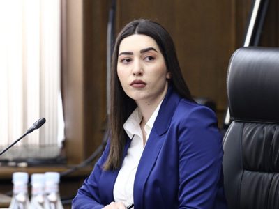 Խամոյանն ասաց՝ չի վստահում ոստիկանությանը, բայց մենք բացահայտել ենք իր մեքենայի հայելիների գողությունը. նախարար