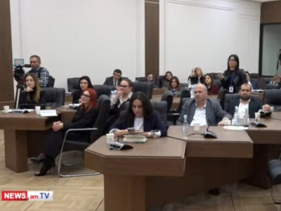 Депутат от правящей в Армении партии встревожена давлением налоговиков и следователей на бизнес