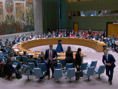 Palestine welcomes UN Security Council adoption of resolution on Gaza