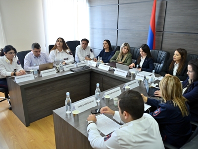ՀՀ ՊԵԿ–ն առաջին անգամ նախագահել է Սևծովյան տնտեսական համագործակցության Մաքսային հարցերով աշխատանքային խմբի նիստը