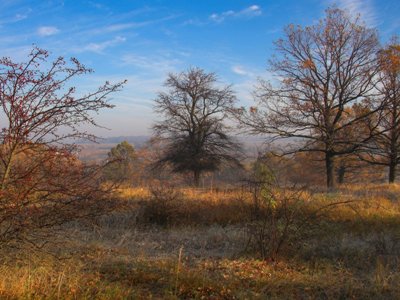 Եղանակը Հայաստանում