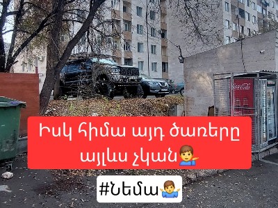Մի կողմից «հերոսաբար» հեռացնում են «բուդկաները», մյուս կողմից՝ ծառերի գլուխը ուտելով, «բուդկի» տեղ են վաճառում. Չախոյան