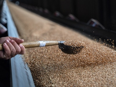 Армения нарастила импорт российской сельхозпродукции: Какие товары завозятся больше всего?