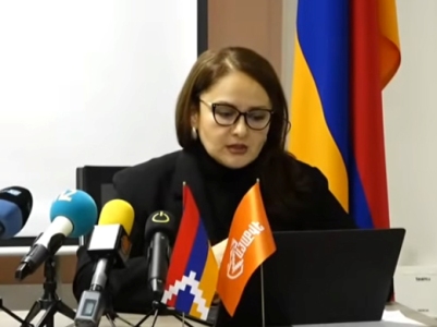 Հայաստանի մարդու իրավունքների պաշտպանի հայտարարությունները չափազանց անորոշ են․ իրավապաշտպան