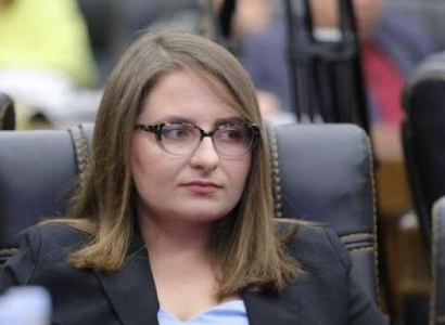 Варданян: Мы не можем иметь в Армении руководителя, близкого к сердцу Алиева и Эрдогана