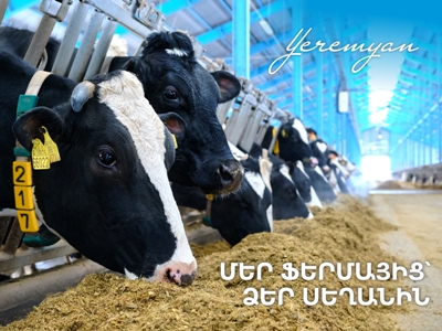 Երեմյան ֆերմայից՝ Ձեր սեղանին․ ինչպե՞ս ընտրել առողջ կաթնամթերք