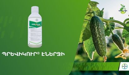 Պրեվիկուր Էներջի՝ նորարարական ֆունգիցիդ ձեր առողջ բերքի համար