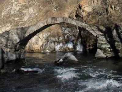 Փրկարարները շանը դուրս են բերել Աղստև գետից
