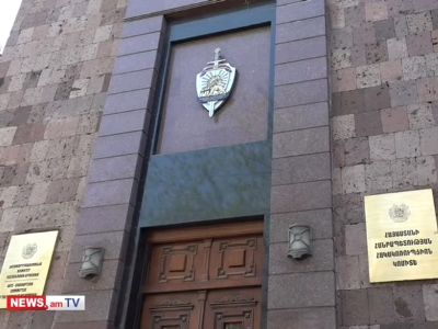 «Ուժեղ Հայաստանի» անդամ Հասմիկ Ամիրզադյանը, ում մեղադրանք է առաջադրվել, 5 որդեգրած երեխա ունի. փաստաբան