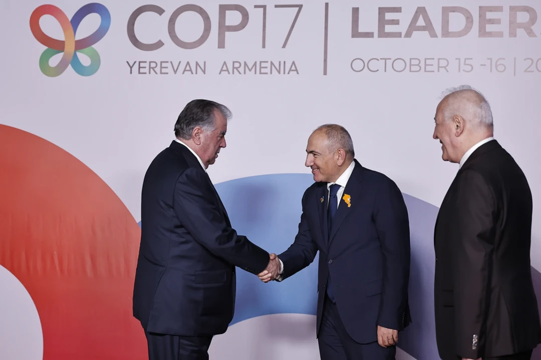 Պատկերասրահի պատկեր