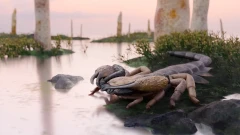 Prehistoric dog-sized predator: largest known scorpion on Earth found in ancient rocks of Britain