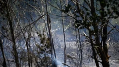 Wildfires in southern France threaten the third stage of the Tour de France