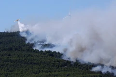 More than 13,000 businesses evacuated in France due to wildfires