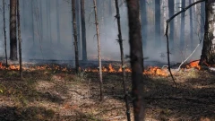CBC: Wildfire Area in Canada Exceeds 66,000 Hectares