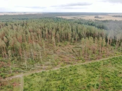 In Lithuania, summer natural disasters damaged 50,000 hectares of crops