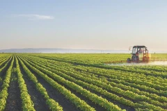 Ranking of world's largest agricultural economies announced