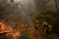 Wildfire in Spain’s Huelva province spreads across 8,000 hectares: 467 people evacuated