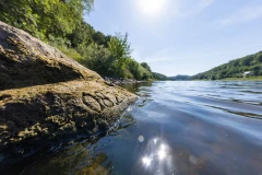 Due to drought, “hunger stones” bearing marks of drought years from the 18th century have resurfaced in Germany’s rivers