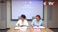 CCTV Video News Agency and NEWS.am Sign Memorandum of Cooperation
