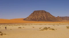 Quaternary Science Reviews: Неандертальцы могли проникнуть вглубь Аравийской пустыни 55 тысяч лет назад