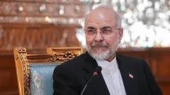 Iran parliament speaker suggests Iraq to abandon US dollar in bilateral trade
