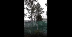 Швеция хочет принудительно изъять недвижимость у россиянина возле военной базы Мускё