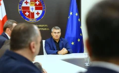 Вице-премьер Грузии Мамука Мдинарадзе объявил об уходе из политики