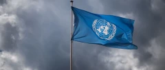 ՄԱԿ-ում դատապարտել են ԱՄՆ-ի կողմից Palestine Action-ը ահաբեկչական կազմակերպություն ճանաչելը