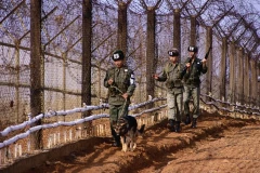Yonhap: Военные КНДР более 20 раз за месяц нарушили границу Южной Кореи
