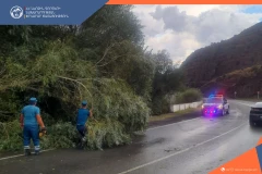 Փրկարարները Երևան-Մեղրի ավտոճանապարհից հեռացրել են տապալված ծառը՝ վերականգնելով երթևեկությունը