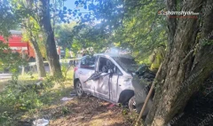 Nissan Tiida-ն Չարենցավանի տարածքում բախվել է ծառերին. կա 4 զոհ, 1 վիրավոր