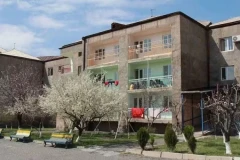 Դայակը հատակը մաքրող փայտով հարվածներ է հասցրել մանկական ուղեղային կաթված ունեցող երեխայի մեջքին, ողնաշարին. պատգամավոր
