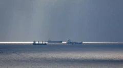 Турция представила России и Украине предложения по безопасности в Черном море