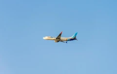 Саудовская Аравия начала расследование инцидента на борту Flydubai