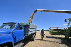Польша и Румыния отказались наращивать транзит украинского зерна