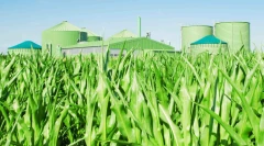 2030 թվականին կենսավառելիքի համաշխարհային արտադրությունը կաճի գրեթե 70%-ով