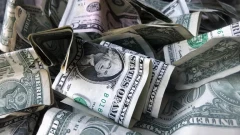 Пара из Новой Зеландии выиграла $8,6 миллиона и позволила себе дорогой стейк