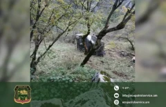 Փայտանյութով բեռնված «ՈՒԱԶ»-ի վարորդը փախուստի դիմելիս մեքենան կողաշրջել է