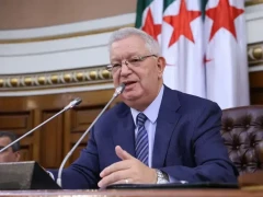 Спикер парламента Алжира: COP17 в Ереване проходит в условиях острых экологических кризисов