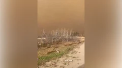 На военной базе в Канаде произошел крупный пожар: есть погибшие и пострадавшие