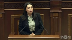Глава МВД Армении настаивает: Патрульные не будут использовать в повседневной службе проблесковые маячки