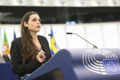Депутат Европарламента: Азербайджан стирает историю армян Нагорного Карабаха